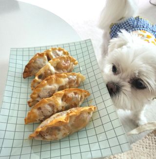 뽀오오옹님이 올린 리뷰 사진 1