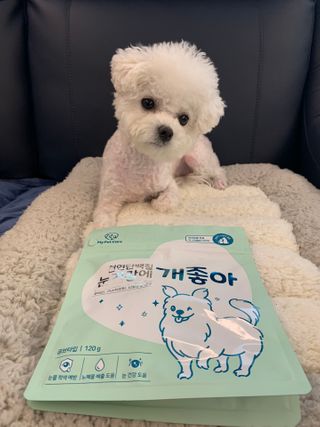 My Pet Care 천연단백질 눈건강에 개좋아 — 5점을 준 리뷰어가 2021년 3월 올린 사용 사진