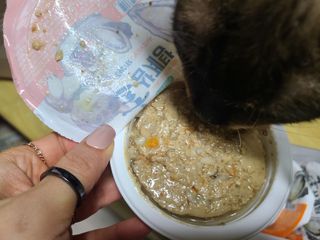 mine님이 올린 리뷰 사진 1