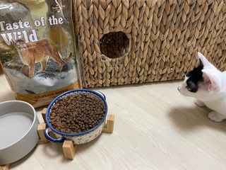 초딩짱구님이 올린 리뷰 사진 1