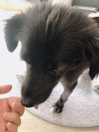 꾸미꾸마님이 올린 리뷰 사진 3