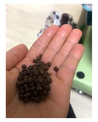 뮤즈님이 올린 리뷰 사진 3