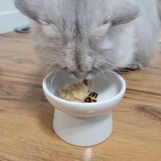 먹보옷님이 올린 리뷰 사진 4