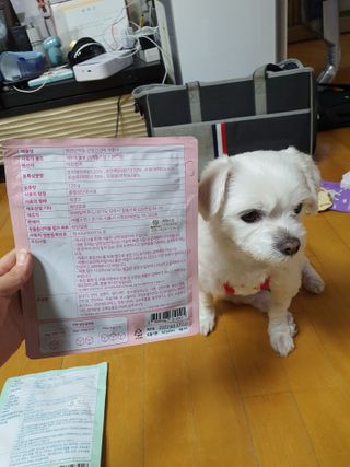 My Pet Care 천연단백질 관절건강에 개좋아 — 5점을 준 리뷰어가 2021년 3월 올린 사용 사진