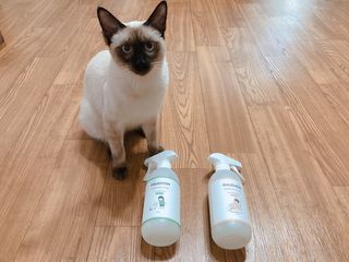 모닝스타님이 올린 리뷰 사진 1