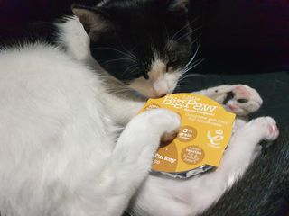퓨리아님이 올린 리뷰 사진 3