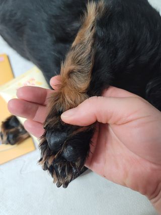 알건맘님이 올린 리뷰 사진 4