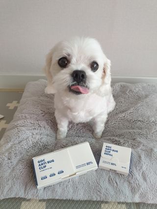뽀야님이 올린 리뷰 사진 2