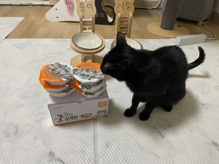 핑크천사님이 올린 리뷰 사진 2