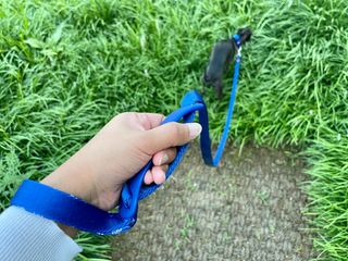 marcaunt님이 올린 리뷰 사진 3
