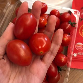 레드닥터 대추방울토마토 + 통째로 동결건조한 대추방울토마토 — 5점을 준 리뷰어가 2022년 12월 올린 사용 사진