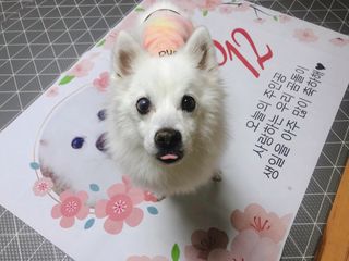 곰까님이 올린 리뷰 사진 3