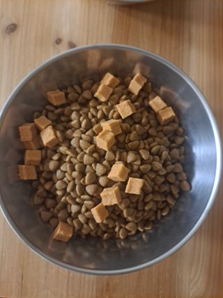 페페로니 진짜 오메가3 연어+소고기 180g+180g — 5점을 준 리뷰어가 2021년 7월 올린 사용 사진