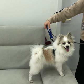 지수님이 올린 리뷰 사진 3