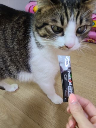 글라라5205님이 올린 리뷰 사진 3