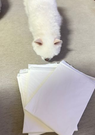 동딩이님이 올린 리뷰 사진 4