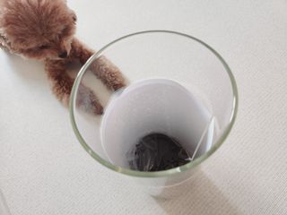 리뷰하는래미씨님이 올린 리뷰 사진 4