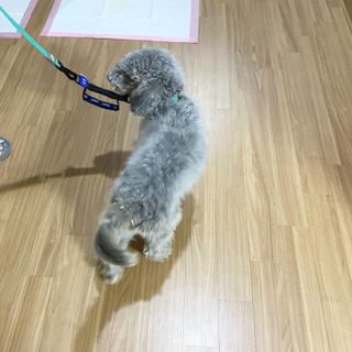 뽀히님이 올린 리뷰 사진 3