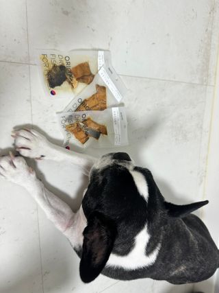 또용님이 올린 리뷰 사진 2