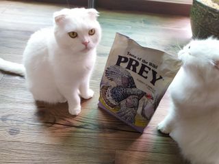 좋아님이 올린 리뷰 사진 1