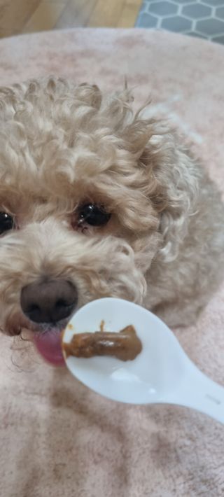 진쓰님이 올린 리뷰 사진 3