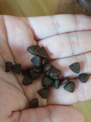 [푸디웜] 라포그  리얼인섹트 웨이트밸런스 저알러지 강아지 사료  1.2KG — 4.5점을 준 리뷰어가 2021년 7월 올린 사용 사진
