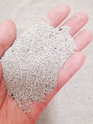 행운의집 실키식스 9kg 크린 언씬티드 프리미엄 고양이모래 — 5점을 준 리뷰어가 2021년 3월 올린 사용 사진