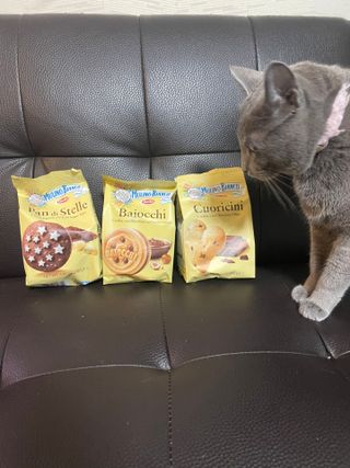 바릴라 몰리노비앙코 쿠키 3종_판디스텔라,쿠오리치니,바이오치 — 5점을 준 리뷰어가 2022년 1월 올린 사용 사진