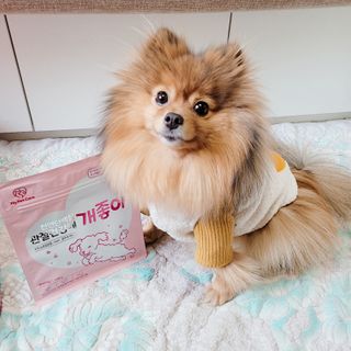 My Pet Care 천연단백질 관절건강에 개좋아 — 5점을 준 리뷰어가 2021년 1월 올린 사용 사진
