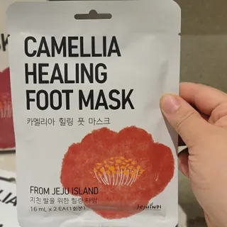 노이님이 올린 리뷰 사진 3