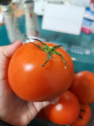 꽃수니어니님이 올린 리뷰 사진 4
