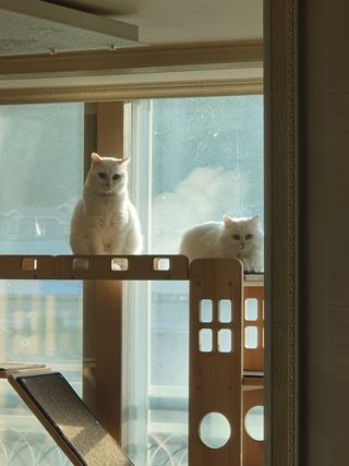 ㄹ진님이 올린 리뷰 사진 1