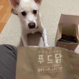 J님이 올린 리뷰 사진 2