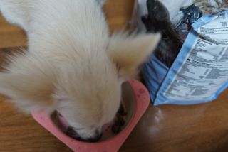 1208님이 올린 리뷰 사진 1