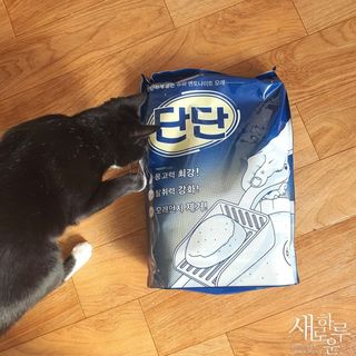chk822님이 올린 리뷰 사진 1