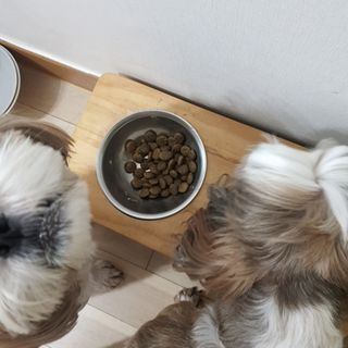 베베츄님이 올린 리뷰 사진 3