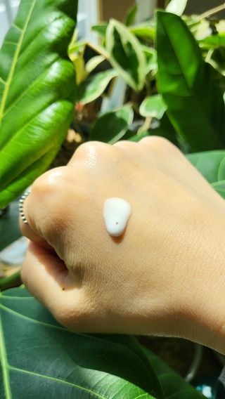 의연님이 올린 리뷰 사진 3