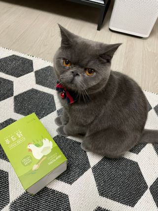 도그퓨어 푸드닭 강아지 닭고기 통살 애견간식 오리지널/차전자피/초록입홍합 — 5점을 준 리뷰어가 2021년 11월 올린 사용 사진
