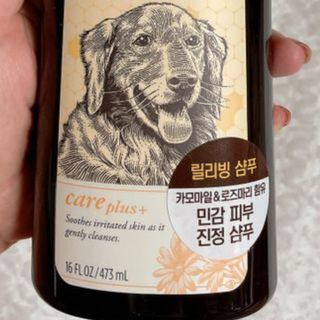 lala님이 올린 리뷰 사진 1