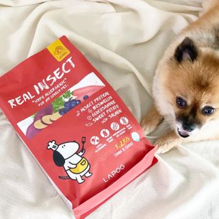[푸디웜] 라포그  리얼인섹트 관절 저알러지 강아지 사료  1.2KG — 5점을 준 리뷰어가 2022년 8월 올린 사용 사진