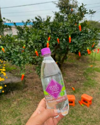 몽베스트 Montbest with Sparkling water Lemon OR Lime 20병(랜덤) — 5점을 준 리뷰어가 2024년 4월 올린 사용 사진