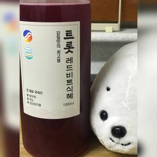 트롯전통식혜 트롯레드비트식혜 1리터 +500리터 — 5점을 준 리뷰어가 2021년 5월 올린 사용 사진