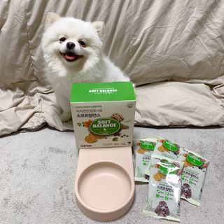 씨디랩 속이 편한 강아지 사료 소프트발란스 기호성 좋은 발효사료 피부와 위장 관절과 위장 — 5점을 준 리뷰어가 2021년 3월 올린 사용 사진