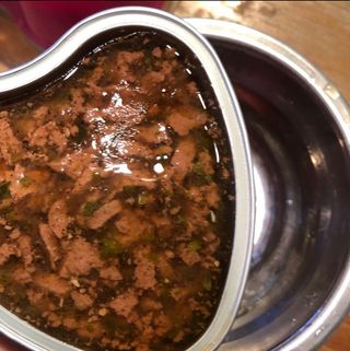 비타크래프트 조에시 하트캔 85g 강아지 습식캔 10캔 — 5점을 준 리뷰어가 2021년 8월 올린 사용 사진