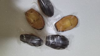[메종콜리브리] 프랑스 마들렌 메종콜리브리 초콜릿 마들렌 2팩 — 4.5점을 준 리뷰어가 2022년 2월 올린 사용 사진