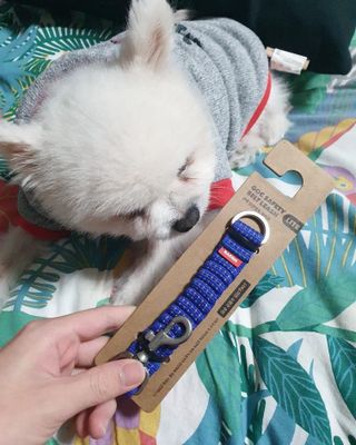 리뷰맨스님이 올린 리뷰 사진 1