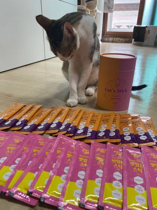 페페로니 맛있는 스틱 - 무항생제 닭고기 15개 + 알래스카 연어 15개 — 5점을 준 리뷰어가 2021년 9월 올린 사용 사진