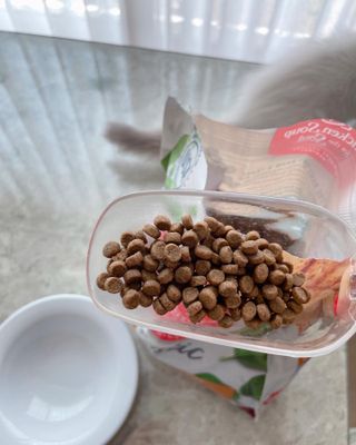 ccoyo님이 올린 리뷰 사진 3