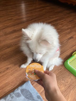 민트초코님이 올린 리뷰 사진 4