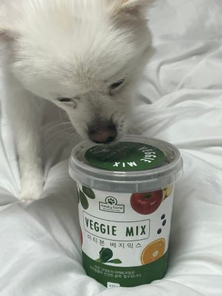 콩이예요님이 올린 리뷰 사진 2